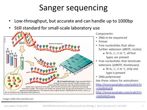 Sanger Sequencing Explained Spegel Med Belysning