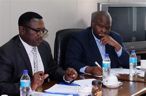 Government Sets Up National Diaspora Taskforce Applauds Ioms Iom