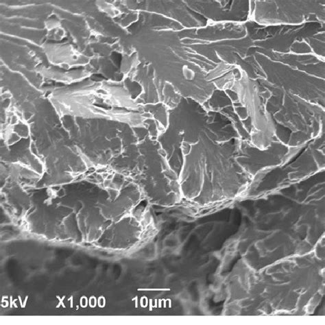 Sem Micrograph Of Ductile Fracture Surface Of Specimen 7 Download Scientific Diagram