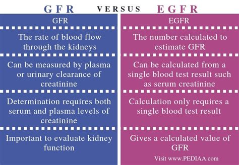 What Is The Difference Between Gfr And Egfr Pediaa Com