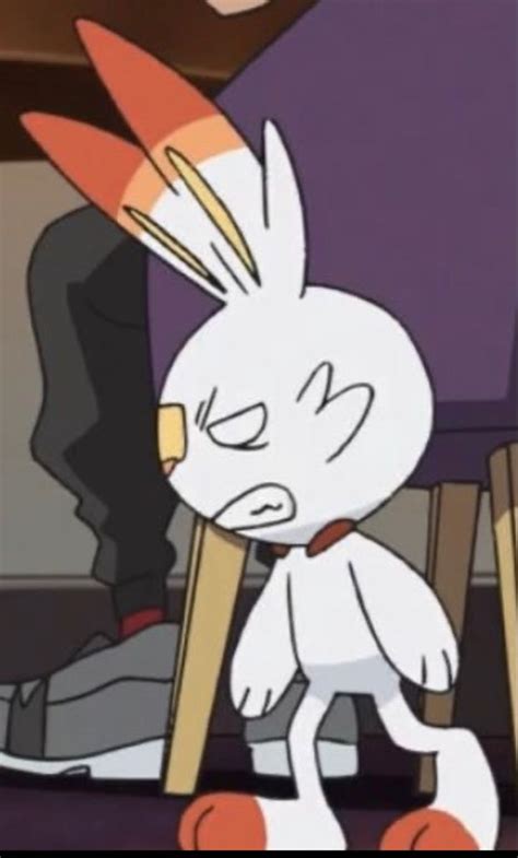 Scorbunny Screenshot Pokemon Funny Cute Pokemon Pokemon