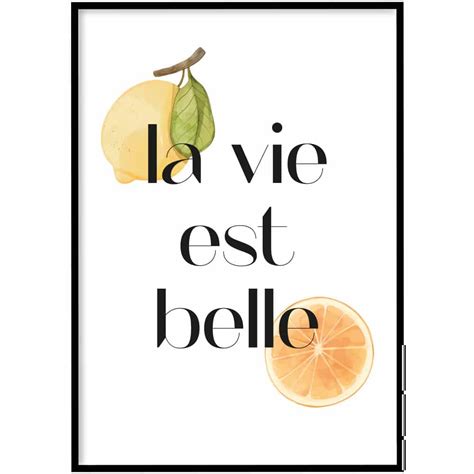 Poster La Vie Est Belle Wallll Home Poster Snelle Levering