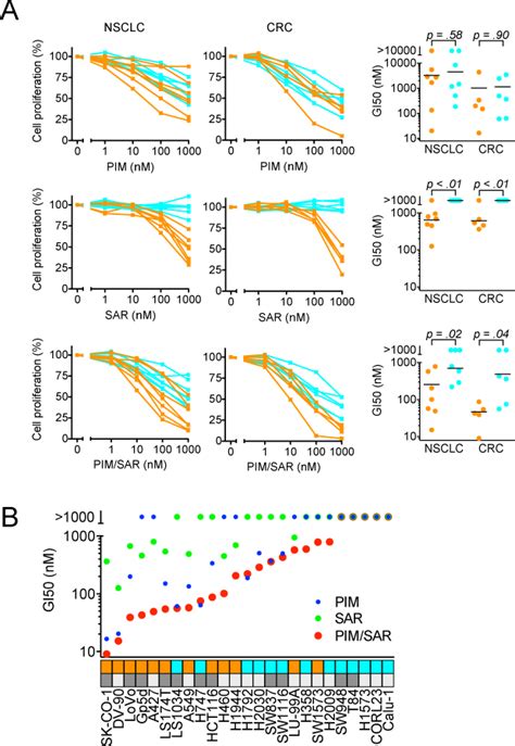 Sensitivity Of Kras Mutant Nsclc And Crc Cell Lines To Sar