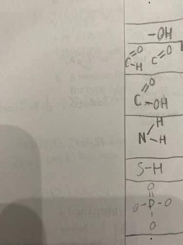 Biology 12 Midterm Flashcards Quizlet