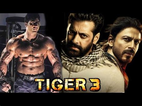 Tiger 3 Climax Salman Khan Katrina Kaif Emran Hashmi Releasing