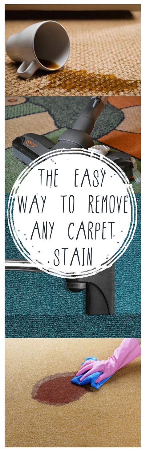 The Easy Way To Remove ANY Carpet Stain The Organized Chick