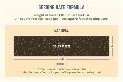 Grass Seeding Rates For New Lawn Establishments Albert Lea Seed