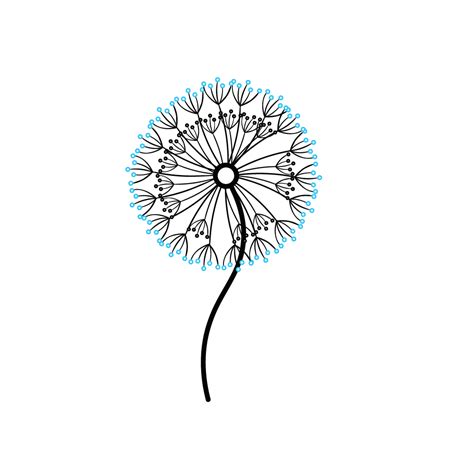 How To Draw A Dandelion Step By Step