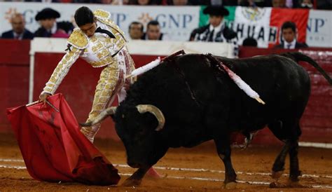 Juez Suspende Nuevamente Corridas De Toros En Cdmx