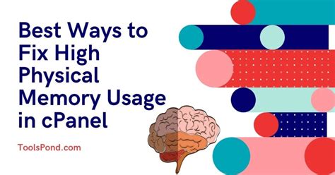 5 Best Ways to Fix High Physical Memory Usage in cPanel - Tools Pond