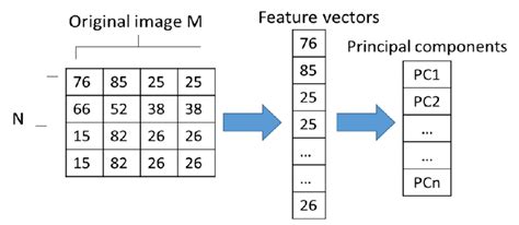 Dimensionality reduction with PCA | Download Scientific Diagram