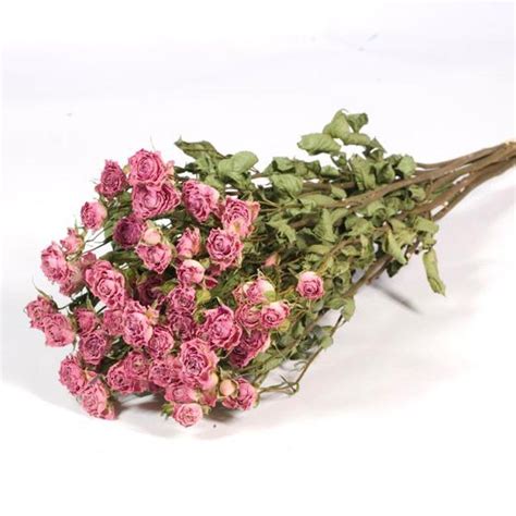 Dried Flowers Roses Natural Light Pink Etsy Spray Roses Dried