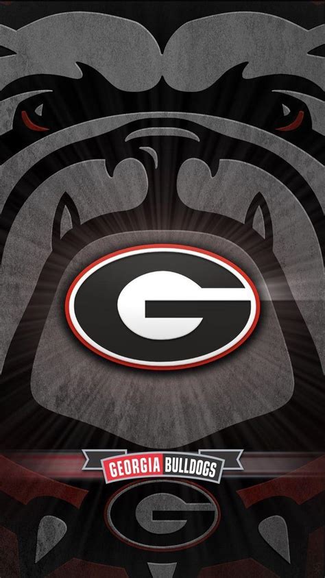 UGA Wallpapers - Top Free UGA Backgrounds - WallpaperAccess