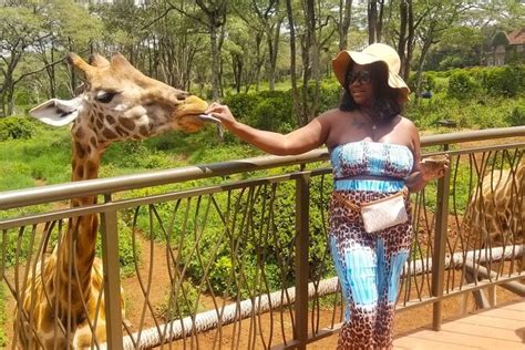 Day Tour Museum Nairobi City Drive Giraffe Center Bomas