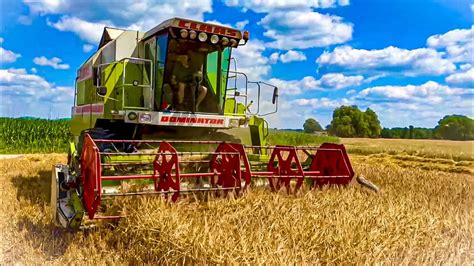 Pierwsze Koszenie J Czmie Ozimy Claas Dominator Mega Niwa