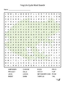 Frog Life Cycle Word Search By Niemiller Nature Tpt