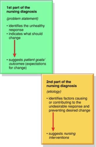 Clinical Judgement And Critical Thinking Flashcards Quizlet