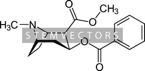 Cocaine Chemical Structure digital Download Black and White Vector Clip ...