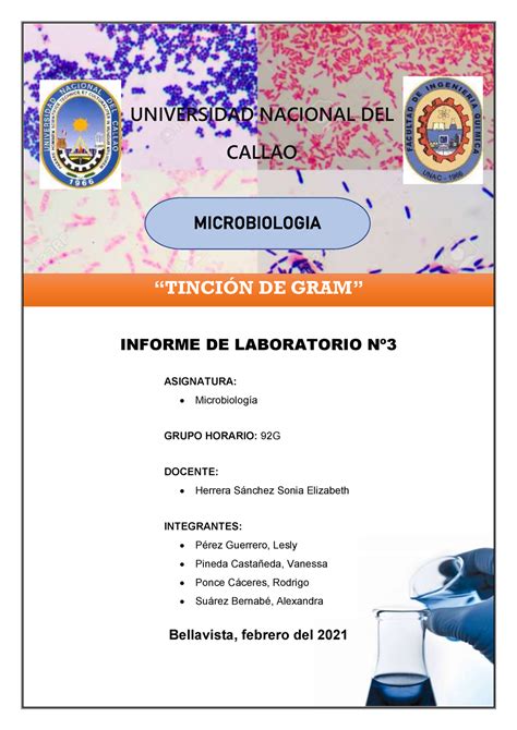 Informe N°2 Tincion Gram Grupo 1 Informe De Laboratorio Nº Bellavista Febrero Del 2021