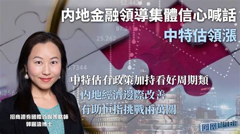 内地金融领导集体信心喊话中特估领涨 郭圆涛：中特估有政策加持看好周期类 内地经济边际改善有助恒指挑战两万关凤凰网视频凤凰网