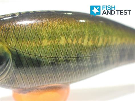 Test Avis Leurre Coulant Sakura Phoxy Spybait Fish And Test