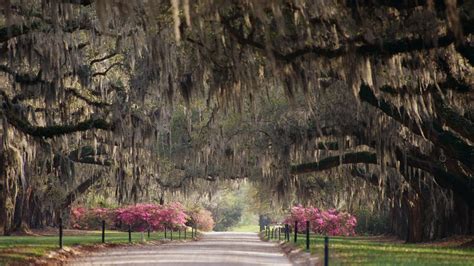 An Ethical Guide to Plantation Tours | Condé Nast Traveler