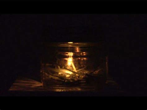 Awesome and Easy DIY Firefly In A Jar - Chas' Crazy Creations