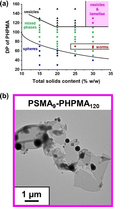 Recent Advances In PolymerizationInduced SelfAssembly PISA