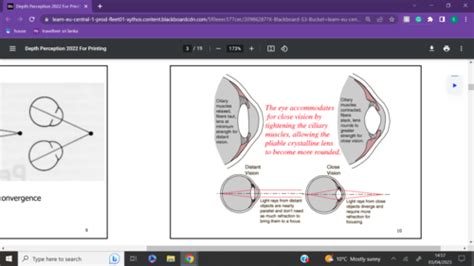 Week Depth Perception Flashcards Quizlet