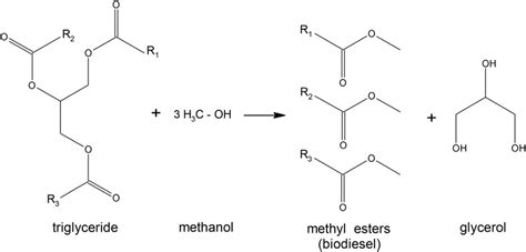 Transesterification Reaction Of A Triglyceride Producing Biodiesel And