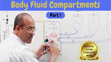 Body Fluid Compartments IV Fluids Types Uses Part 1 YouTube