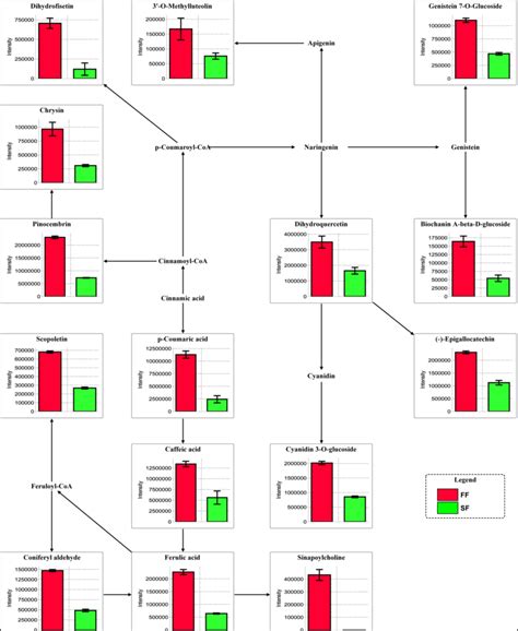 Metabolic Pathways Of The Differentially Accumulated Metabolites