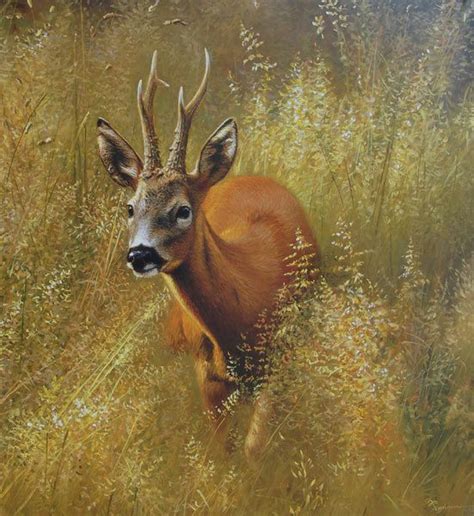 Bernd P Ppelmann Wildlife Art Malerei Tierbilder Tiere Zeichnen