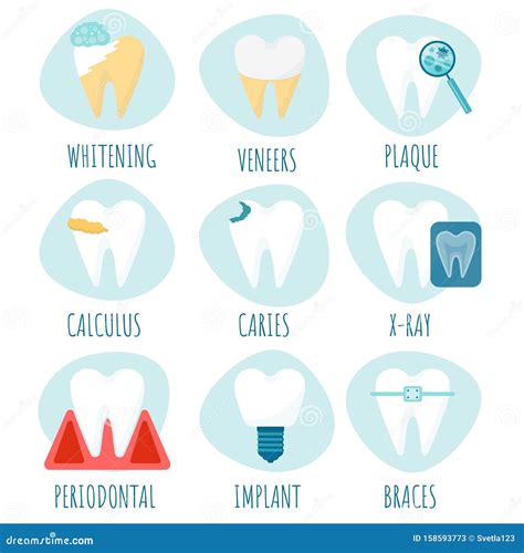 Various Problems With Teeth Caries Tartar Plaque Periodontal