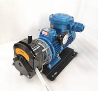 Water Proof Efficient And Requisite Explosion Proof Dosing Pump