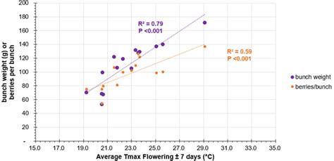 Factors Influencing Pinot Noir Berry Weight And Resulting Wine Quality