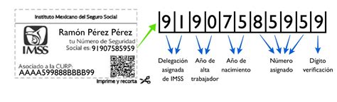 Número De La Seguridad Social → Nss Guía 2025