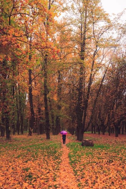 Premium Photo Rear View Of Woman Holding Umbrella While Standing Amidst Trees