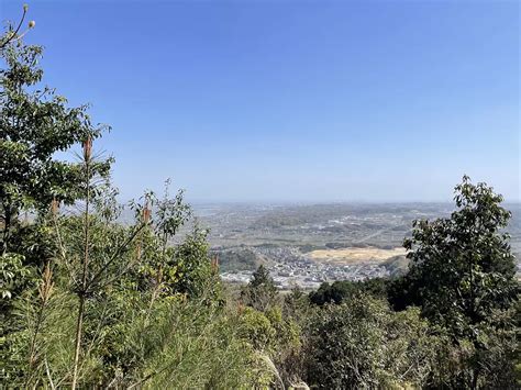 「多度山」は愛犬とも登れる登山初心者におすすめの山！駐車場やおすすめコースをご紹介！ 取材レポート 観光三重 かんこうみえ