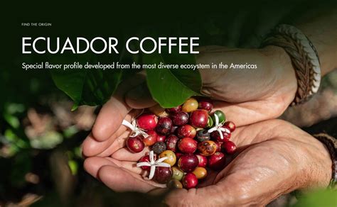 Ecuador Coffee - Special flavor profile developed from the most diverse
