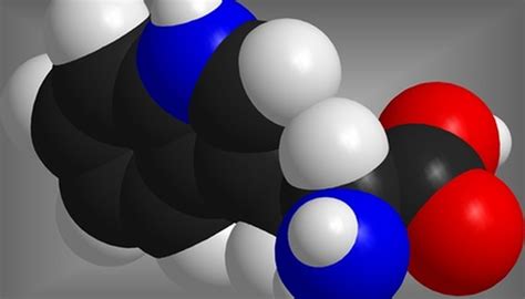 How To Build A D Model Of Glucose Sciencing