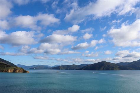 Cook Strait Ferry: Traveling from Wellington to Picton New Zealand