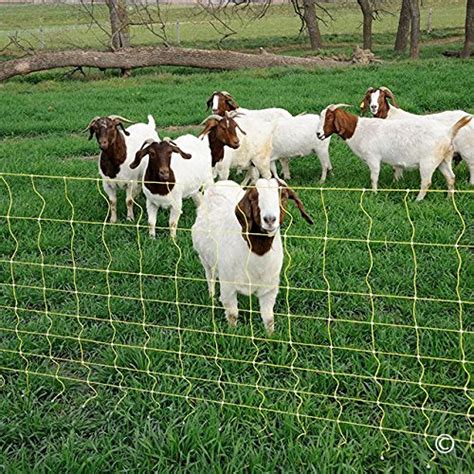 Premier 42 Electric Goat Net Fence 9 42 6 Yellow 164 Roll Pricepulse