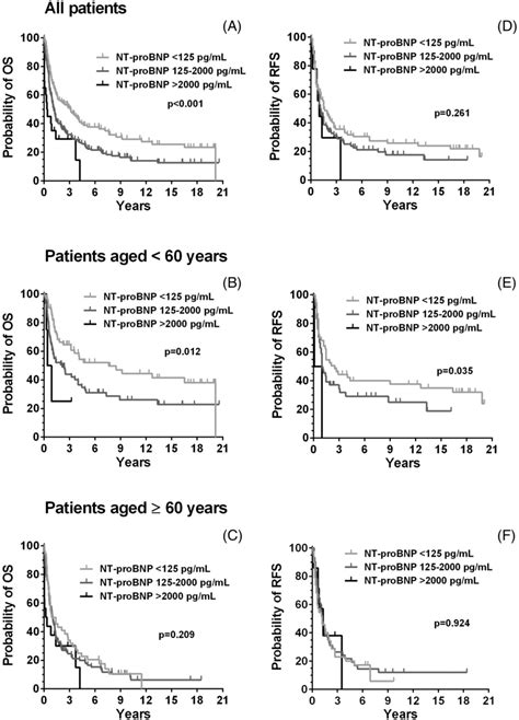 Survival In Aml Patients According To Nt‐probnp Levels Overall