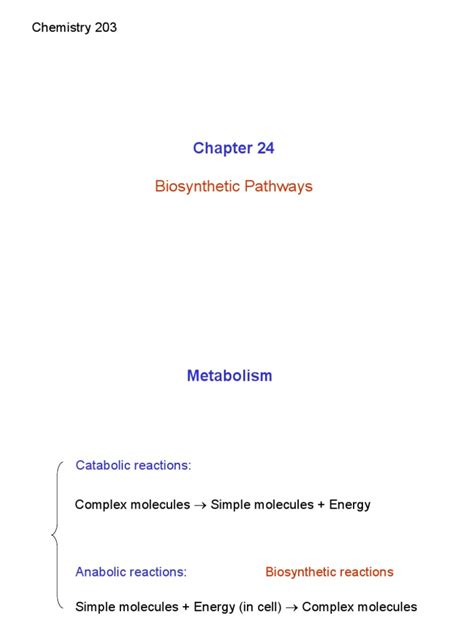 Biosynthetic Pathways: Chemistry 203 | PDF | Glycolysis | Metabolism