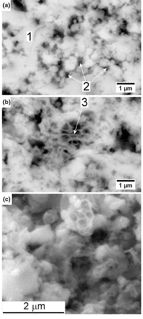 High Magnification Cross Sectional Sem Micrographs Secondary