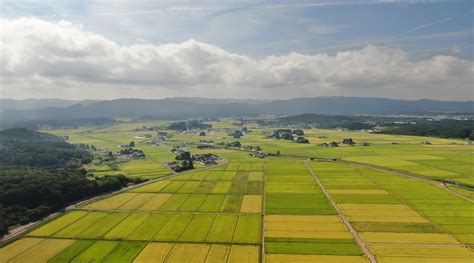 日本一広い平野はどこ？ トップ3とあわせて 日本の地形の特徴もおさえよう【親子で学ぶ日本地理】 Hugkum（はぐくむ）