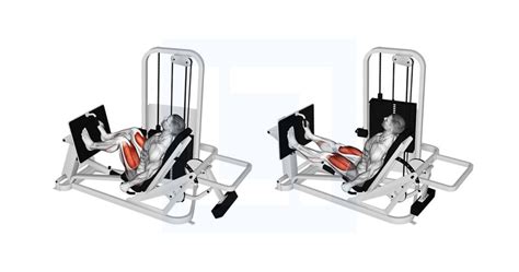 Lever Seated Leg Press Guide Benefits And Form