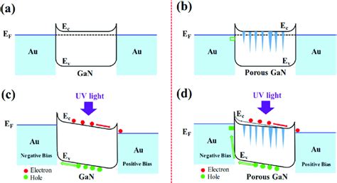 Schematic Energy Band Diagram Of The Photodetector After Forming A