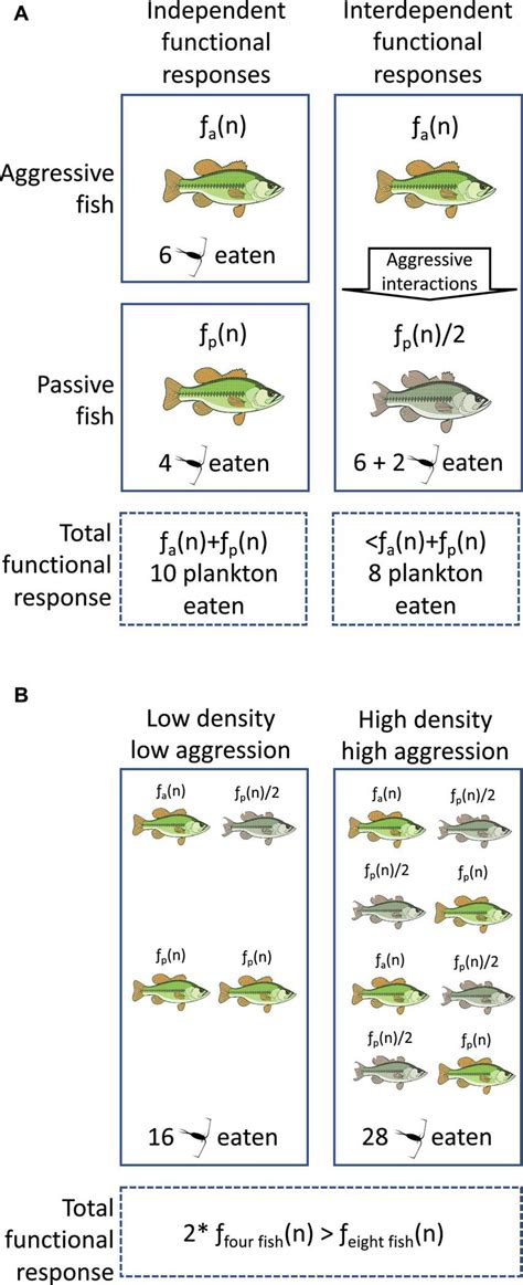 The Individual And Population Level Consequences Of Interdependent